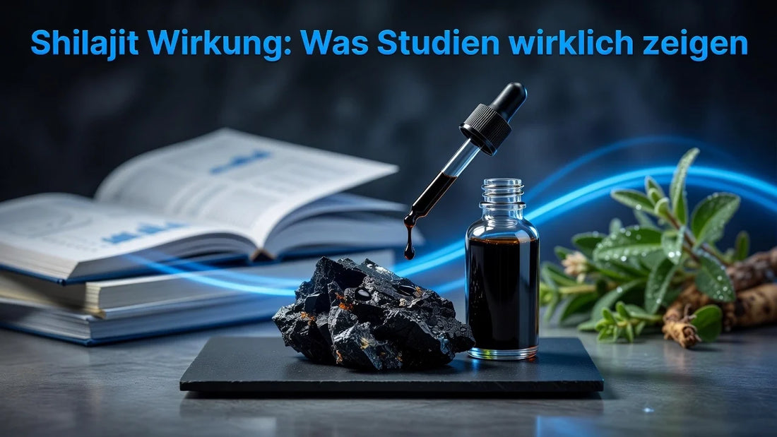 Professional header image for industry analysis: Shilajit Wirkung: Was Studien wirklich zeigen