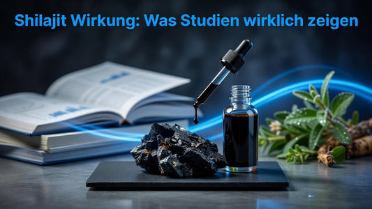 Professional header image for industry analysis: Shilajit Wirkung: Was Studien wirklich zeigen