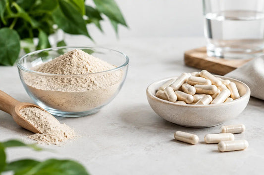 Pulver oder Kapseln wählen - was passt zu dir? - Supplements and more Nahrungsergänzungsmittel