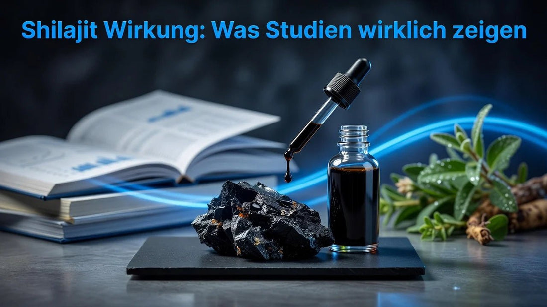 Shilajit Wirkung: Was Studien wirklich zeigen - Supplements and more Nahrungsergänzungsmittel