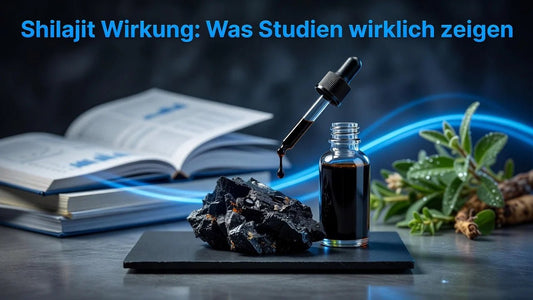 Shilajit Wirkung: Was Studien wirklich zeigen - Supplements and more Nahrungsergänzungsmittel